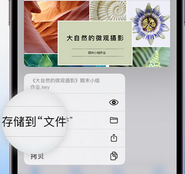 金华apple维修中心分享iPhone文件应用中存储和找到下载文件