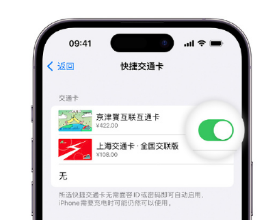 金华apple维修点分享iPhone上更换Apple Pay快捷交通卡手绘卡面 