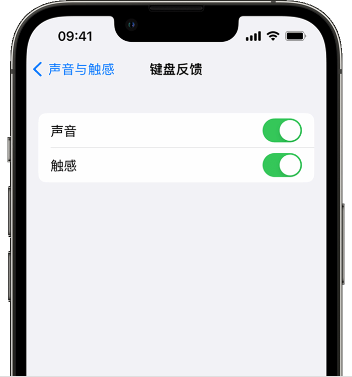 金华苹果14维修店分享如何在 iPhone 14 机型中使用触感键盘 