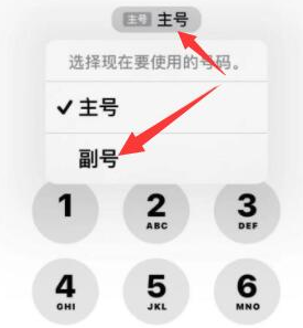 金华苹果14维修店分享iPhone 14 Pro Max使用副卡打电话的方法 