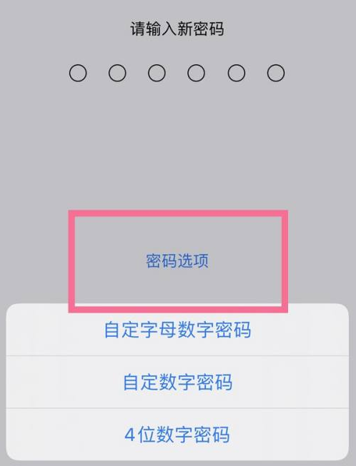 金华苹果14维修分享iPhone 14plus设置密码的方法 