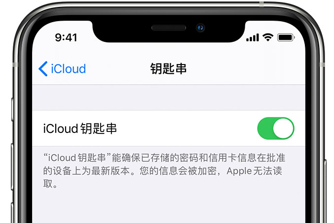 金华苹果手机维修分享在 iPhone 上开启 iCloud 钥匙串之后会储存哪些信息 