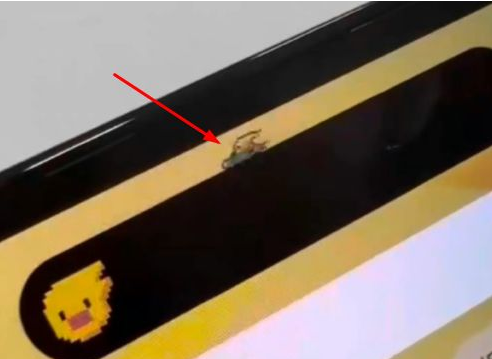 金华苹果14维修分享iPhone 14 Pro Max灵动岛怎么养宠物 