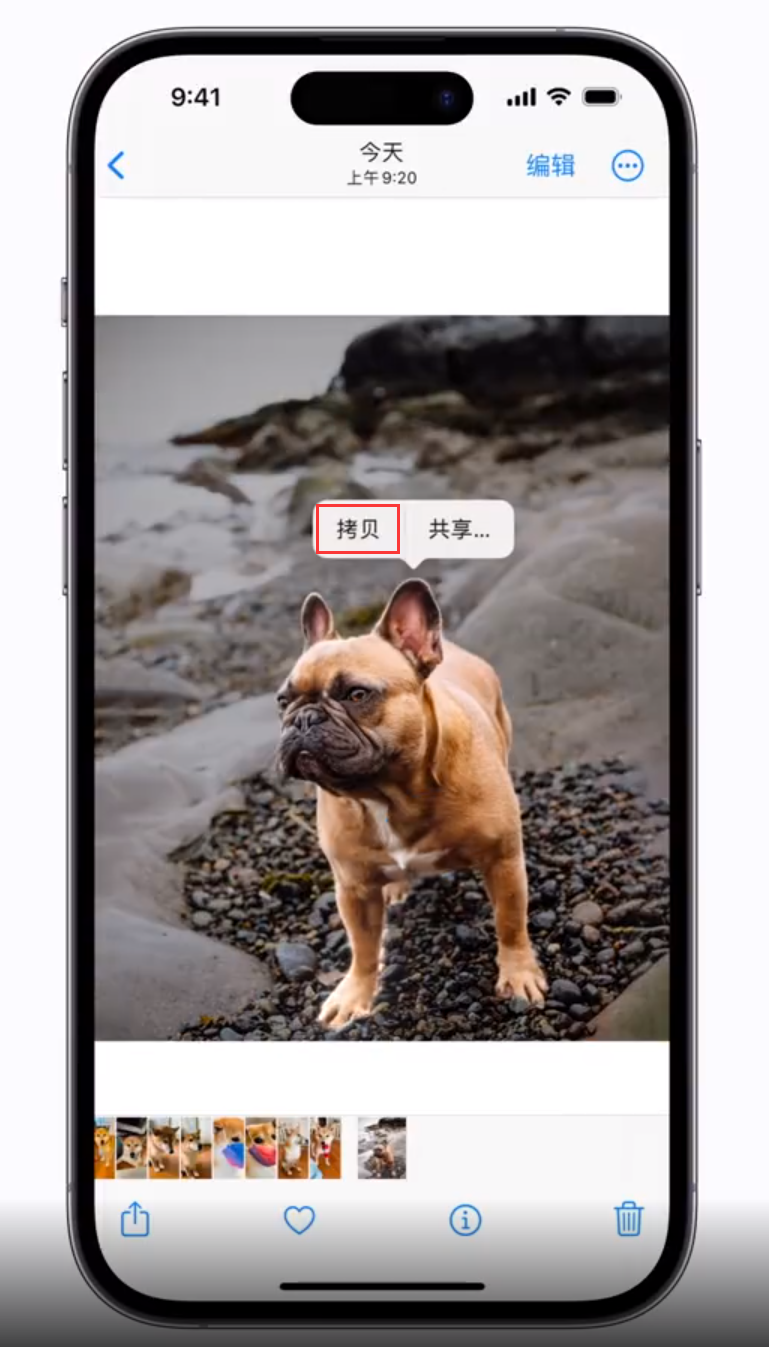 金华苹果手机维修分享 iOS 16 自带一键抠图功能 