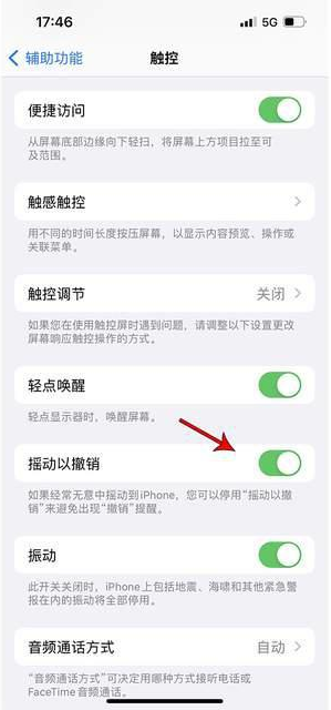 金华苹果手机维修分享iPhone手机如何设置摇一摇删除文字 