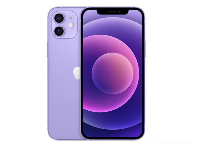 金华苹果手机维修分享现阶段要不要入手紫色版iPhone12 